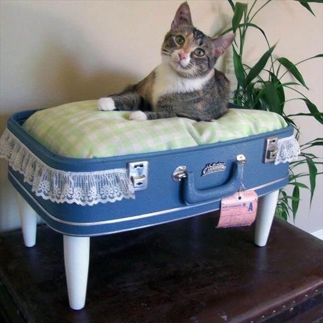 DIY cat bed 