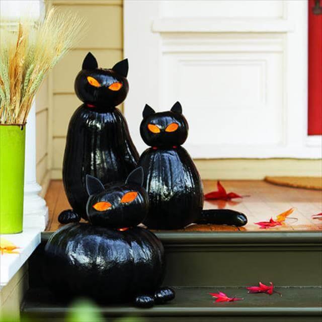 Orannge Eyes Black Cat Pumpkins