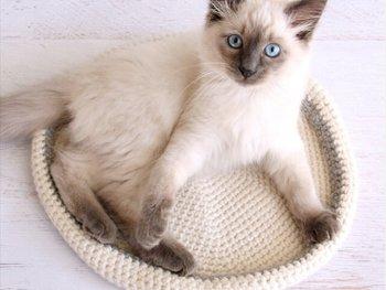 Crocheted Cat Bed