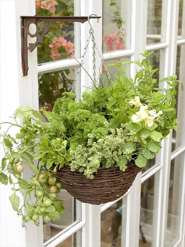 DIY Hanging Basket Vegetable Garden