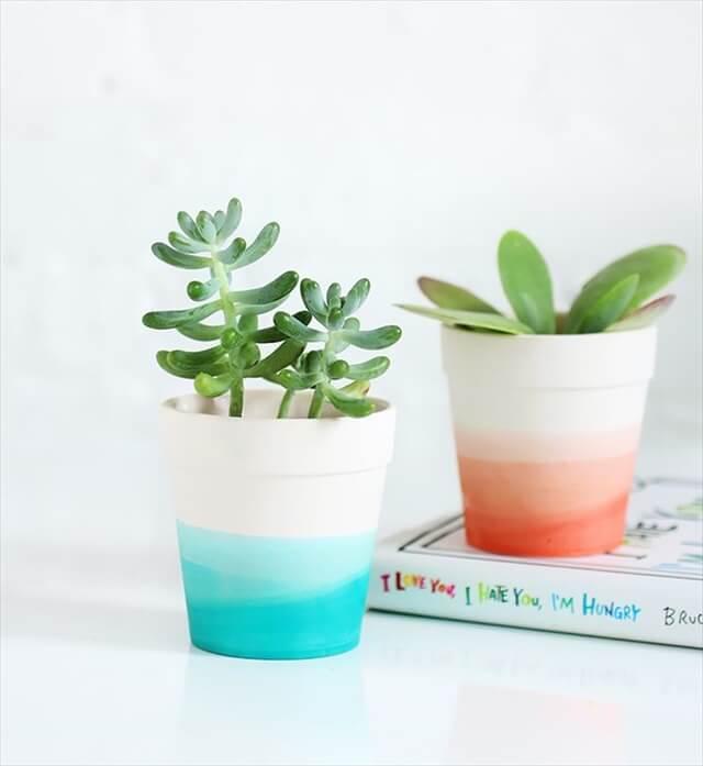 Dip Dyed Planters