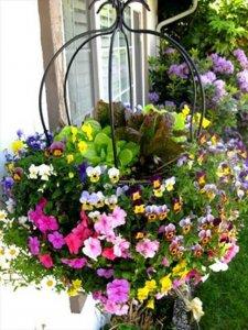 10 Diy Hanging Basket Vertical Garden