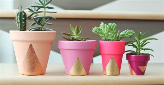 If you have trouble keeping indoor flowers or plants alive…succulents are the answer to your plant problems! Succulents thrive in the simplest of environments as one of the easiest plants to take care of – and they are super cute! From painted pots to vintage containers, succulents can grow in almost anything.