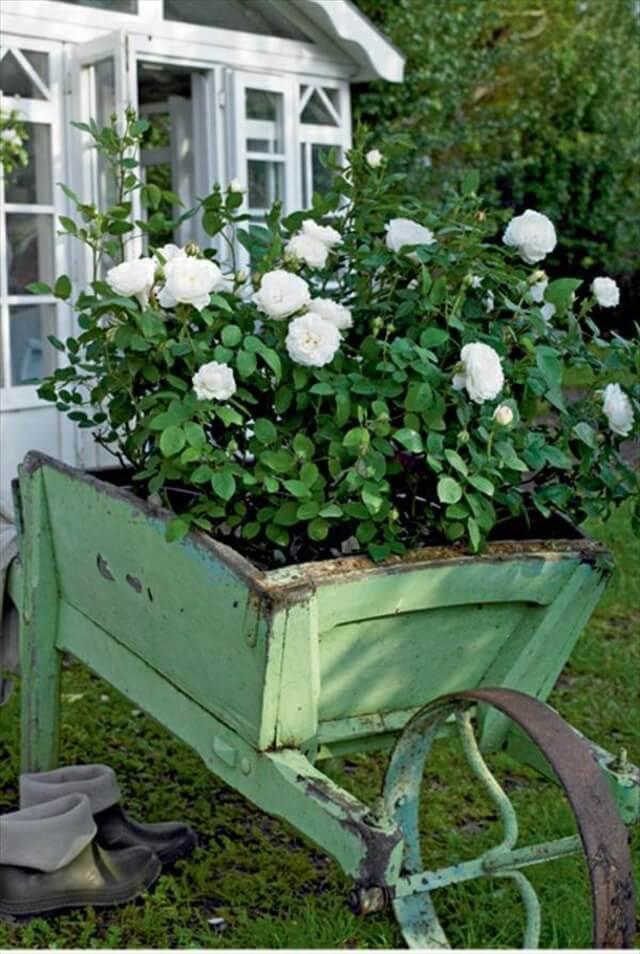 A rose garden wheelbarrow mobile