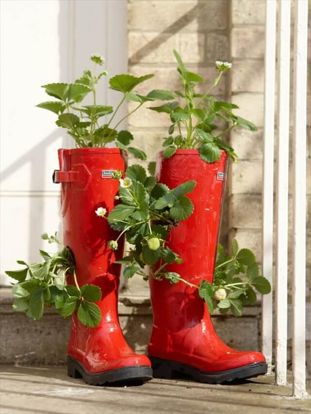 red shoes planter