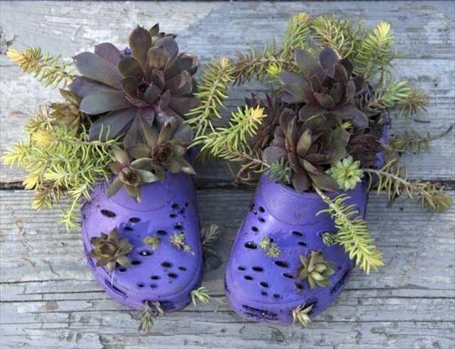  these crocs got cut by the lawn mower or some other equipment, so they were turned into little hanging planters!