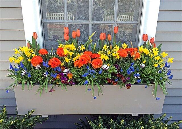 spring window box for decoration