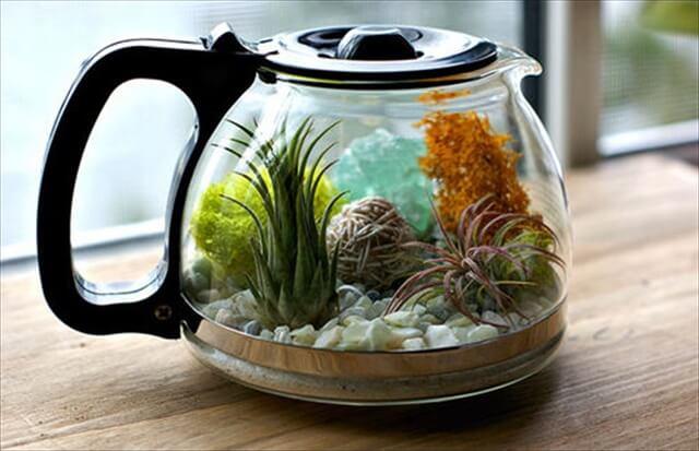 Indoor Teapot Planter