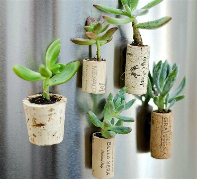 Tiny Succulent Planters