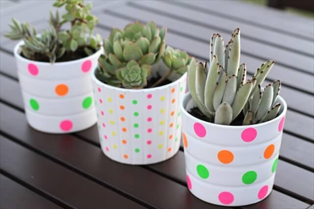 Polka Dotted Planters