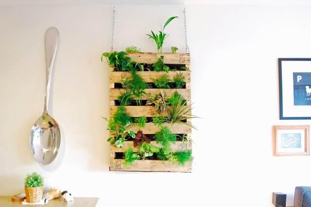 Living Pallet Wall