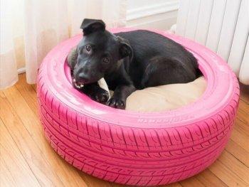 Dog Tire