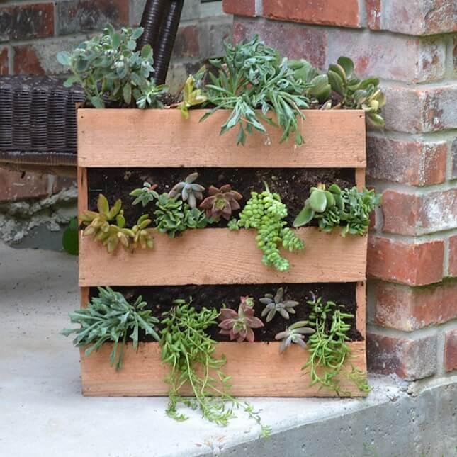 DIY Cedar Pallet Succulent Planter: