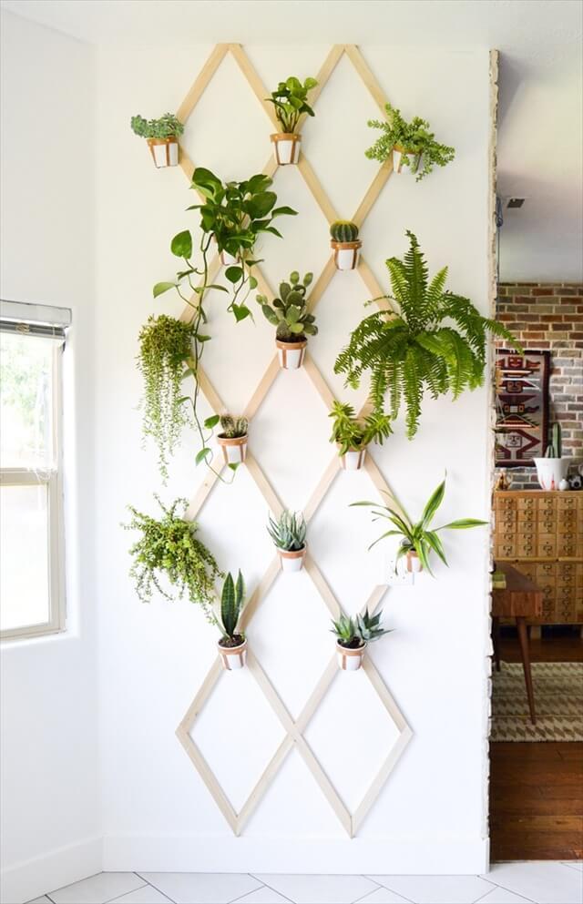  Indoor Plant Trellis