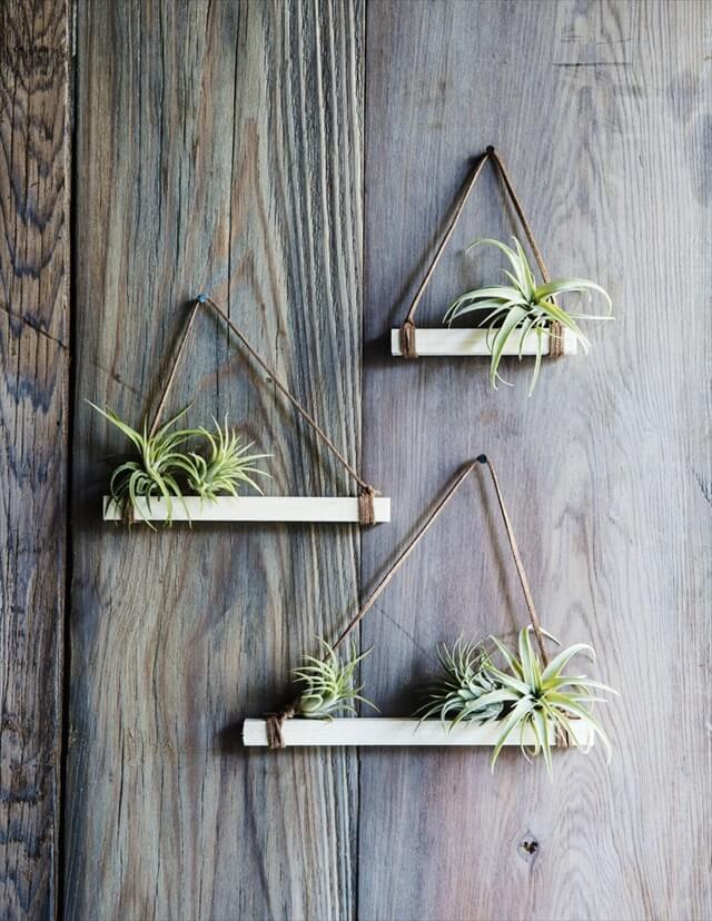  Wall Mounted Air Plant Holders