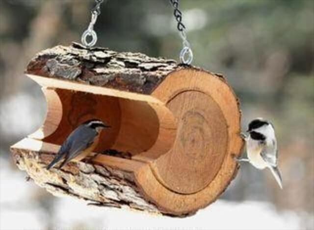 Log Bird Feeder