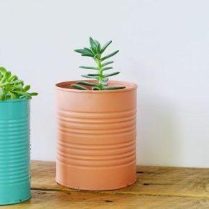 Easy DIY Tin Can Planters