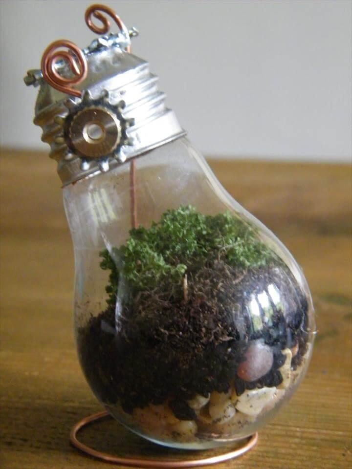  DIY Tutorial: Recycling Old Light Bulbs to Create Beautiful Mini Terrariums