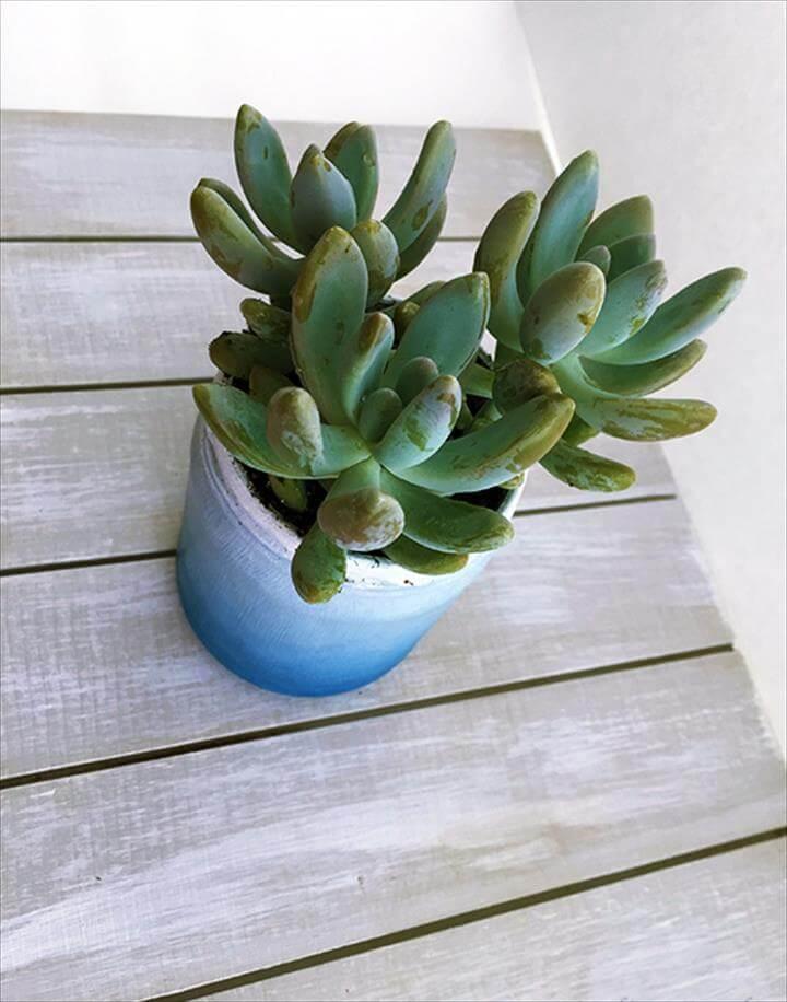 ombre painted succulent planter, crafts, gardening, mason jars, repurposing upcycling, succulents