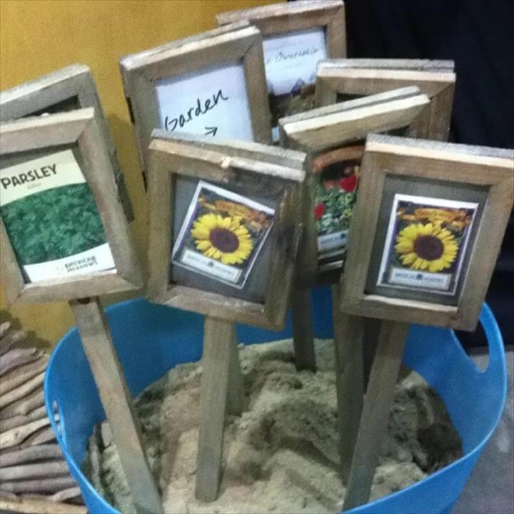 seed packages framed as plant labels