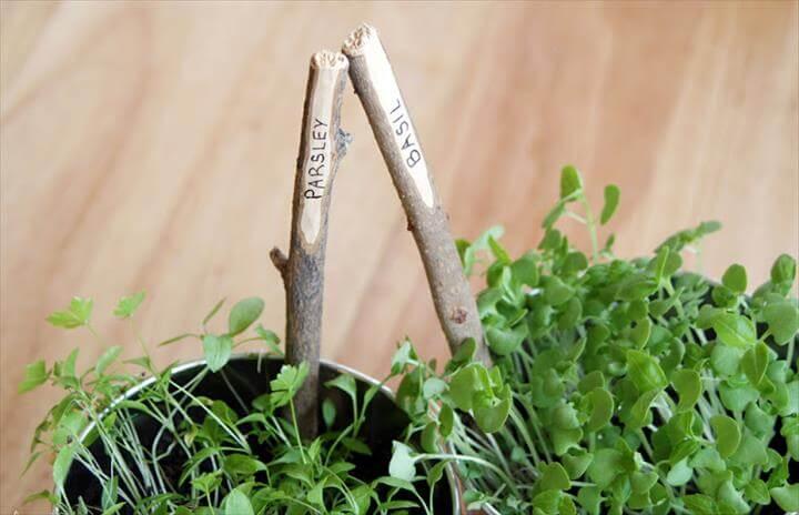DIY: Plant Markers