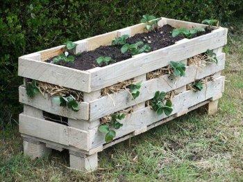 Amazing DIY Projects to Repurpose Pallets into Garden Planters --> Strawberry Pallet Planter
