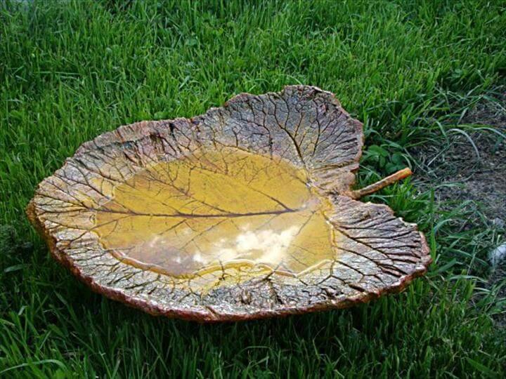 diy concrete garden decor ideas rhubarb leaf water