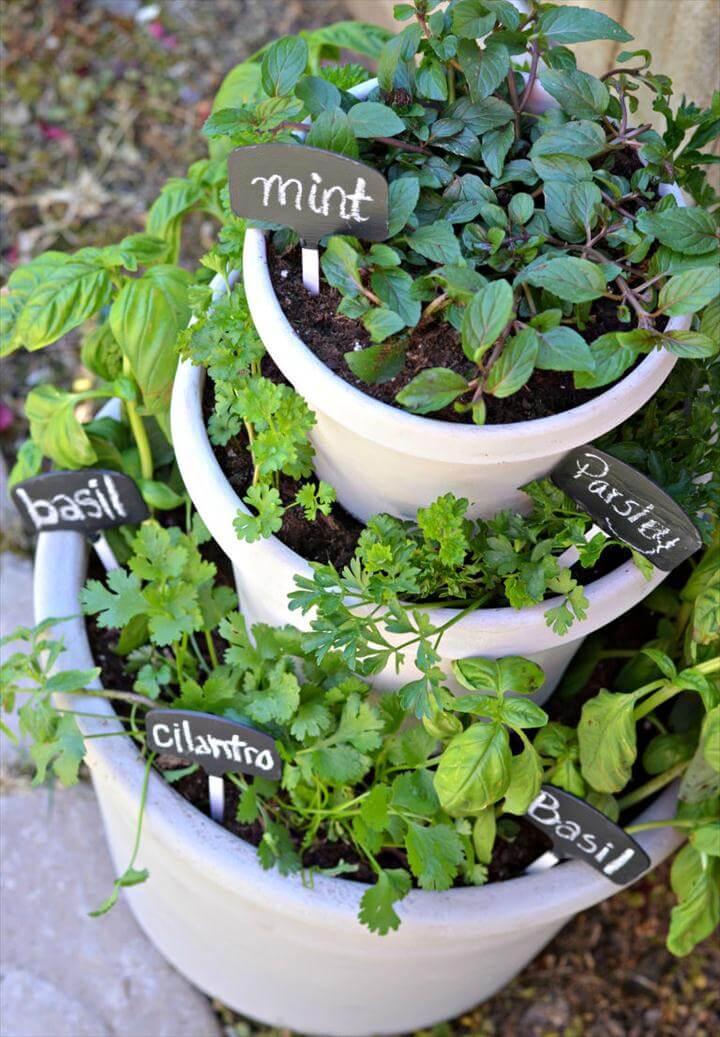 Beautiful Herb Garden Design Ideas