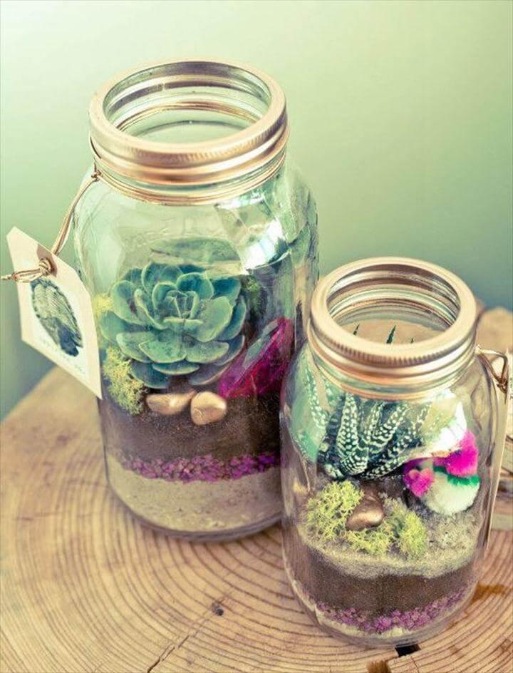 Mason Jar Terrarium