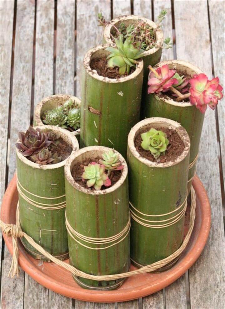 bamboo planters