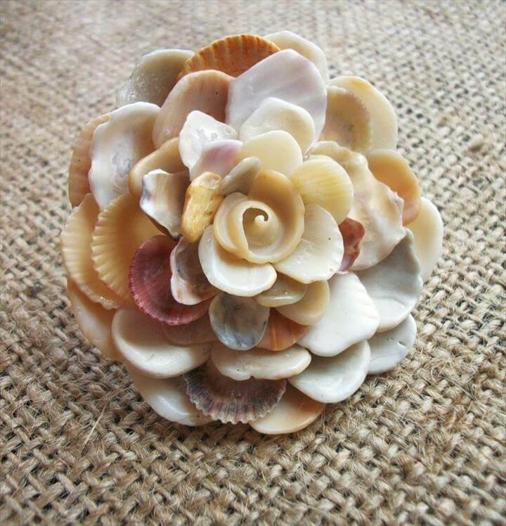 Seashell flower