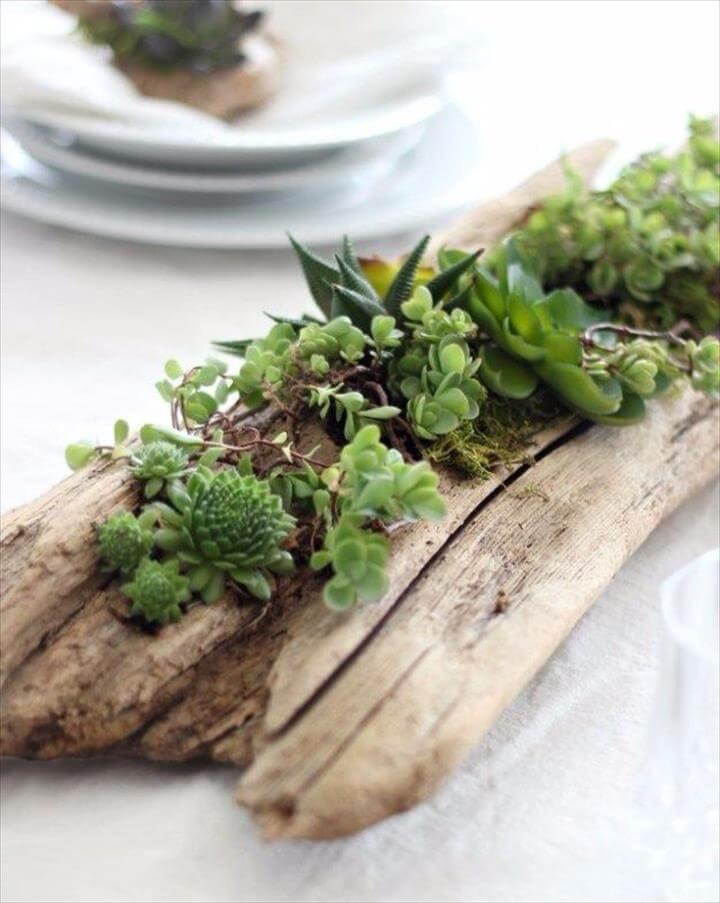 cute driftwood planters