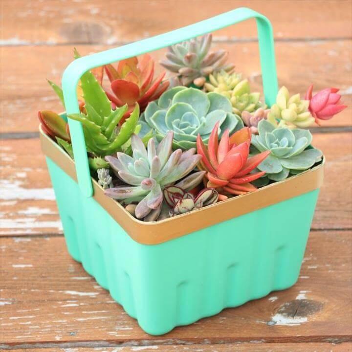 basket planters