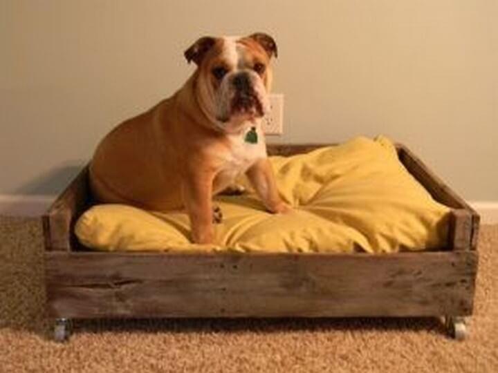 dog bed, pallet ideas, how to, diy ideas, diy crafts
