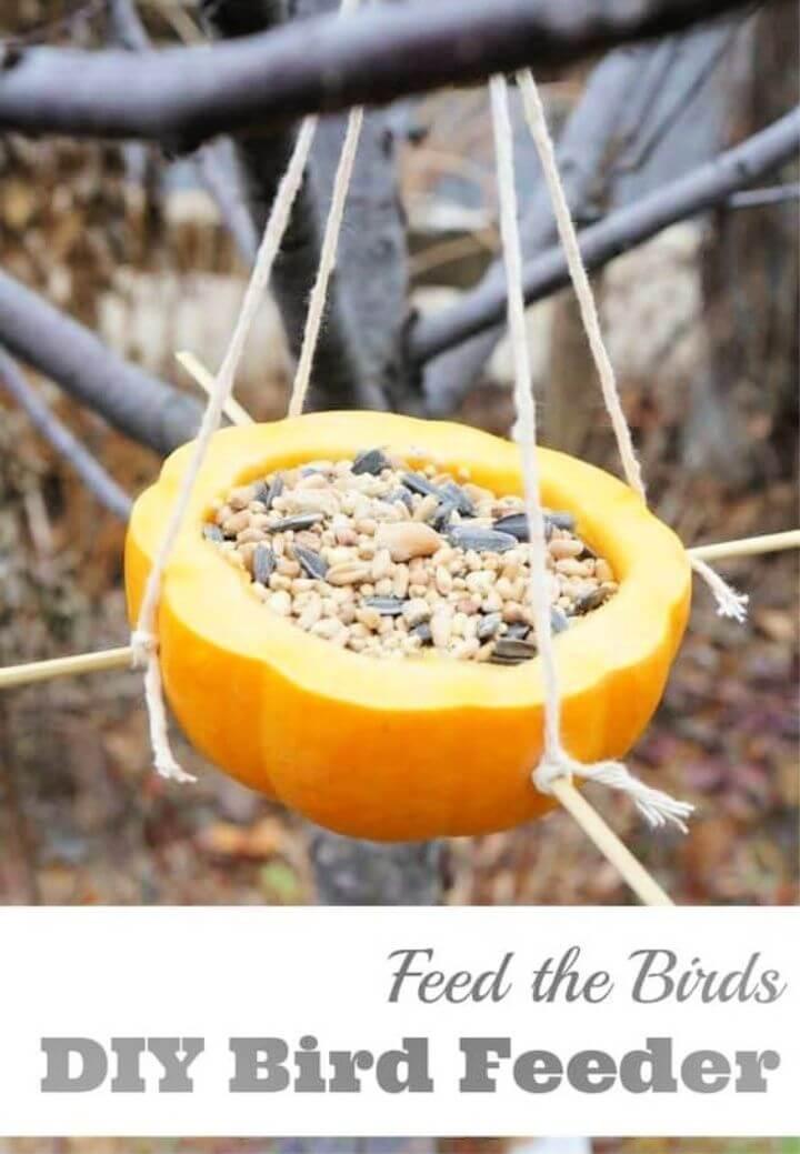 Carved Pumpkin Feeder DIY Tutorial