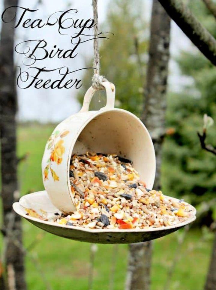 DIY Amazing Tea Cup Feeder