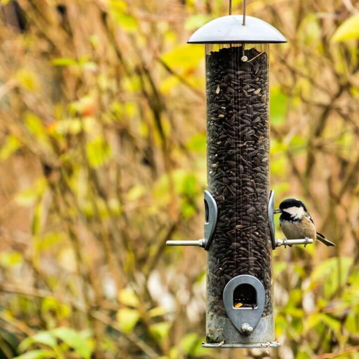 DIY Amazing Tube Style Bird Feeder