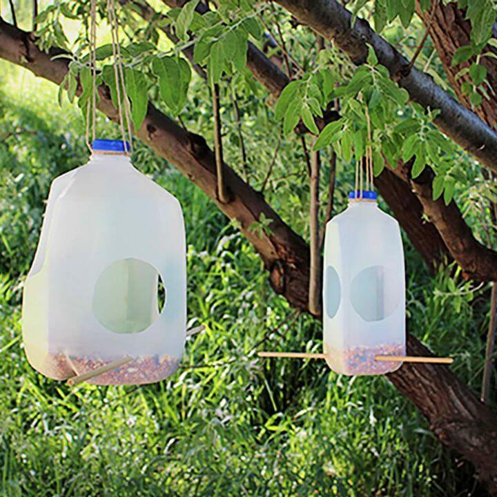 DIY Cute Milk Jug Bird Feeder