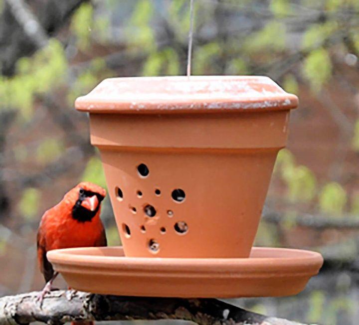 DIY Cute Terra Cotta Bird Feeder