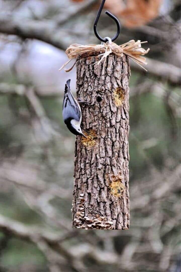 DIY Gorgeous Suet Log Feeder