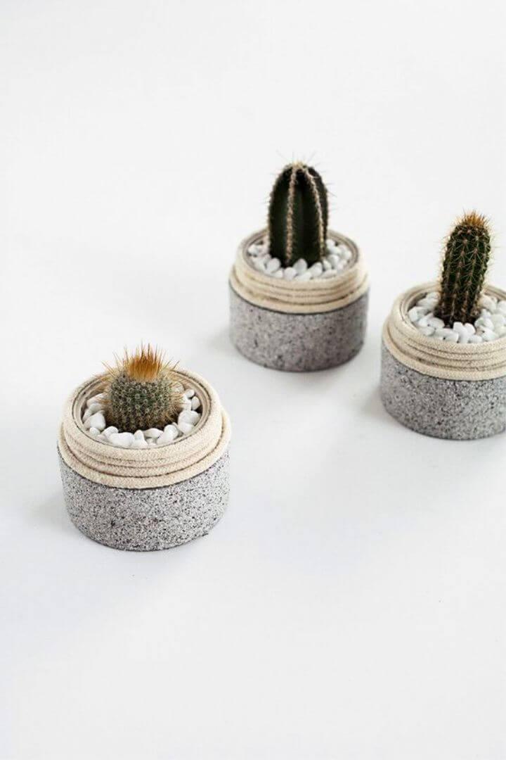 DIY Mini Cactus Planters