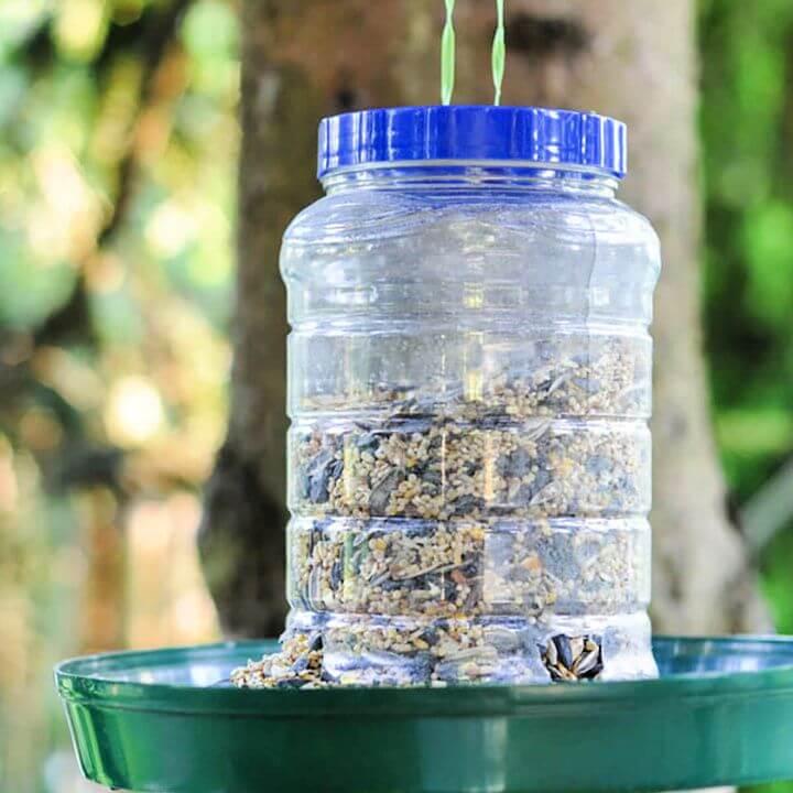 DIY Peanut Butter Jar Bird Feeder