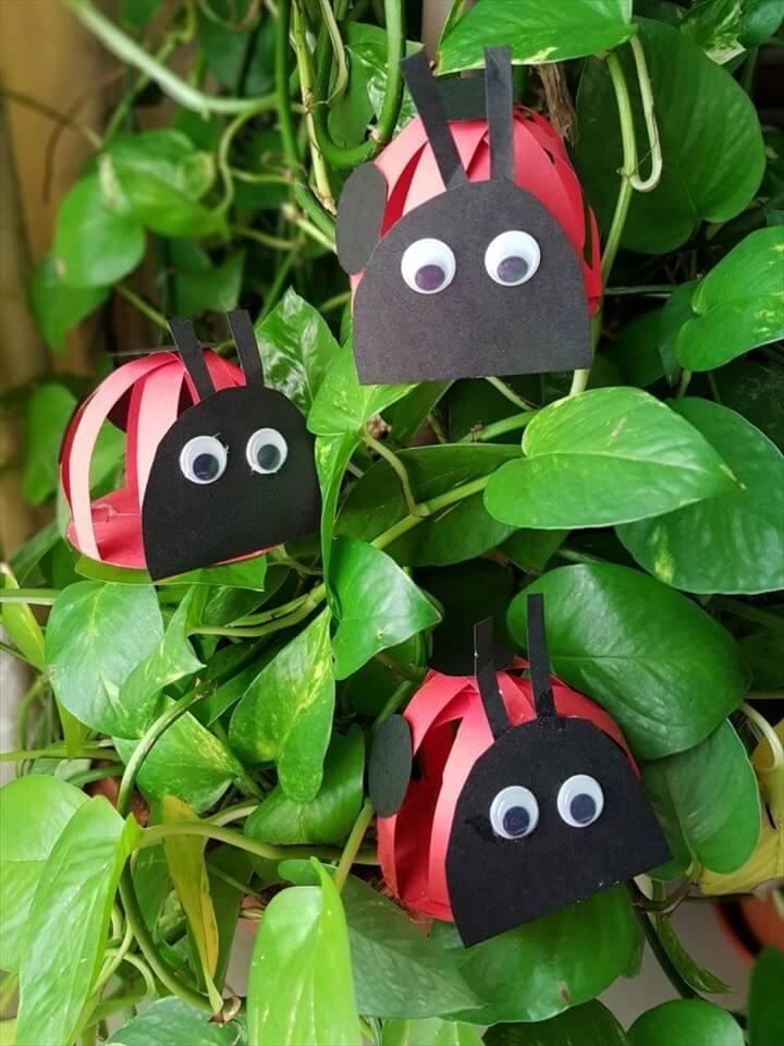 Kid Summer Crafts Angry Ladybugs DIY