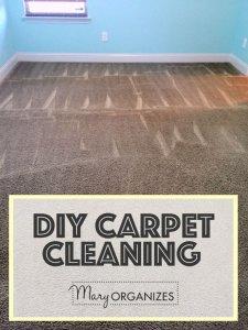 30 DIY Carpet Cleaner Projects - Easy Carpet Clean Ideas