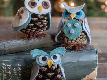 DIY Pine Cone Owl Ornaments, pine cone ideas, pine cone table decorations, bleached pine cone crafts, diy pinecone mice, pinecone crafts to sell, pine cone christmas tree ornaments, mini pine cone crafts, pine cone decoration ideas, diytomake.com, diy home decor, diy for home decor, ideas for diy home decor, diy home decor ideas, diy home decor crafts, diy home decor projects, diy home decor on pinterest, diy home decor pinterest, diy home decor dollar tree, diy home decor easy, diy home decor cheap, diy home decor ideas living room, diy home decor rustic, diy home decor craft ideas, diy home decor ideas budget, diy home decor christmas, diy home decor modern, diy home decor for christmas, diy home decor projects cheap, diy home decor blogs, diy home decor youtube, diy home decor hacks, diy home decor signs, diy gothic home decor, diy home decor on a budget, easy diy home decor projects, diy home decor ideas cheap, diy rustic home decor ideas, diy home decor paintings, diy elegant home decor, diy home office decor, diy home decor projects pinterest, diy home decor to sell, diy home decor gifts, nautical diy home decor, diy luxury home decor, diy home decor recycled, diy home decor tutorials, diy home decor tips, diy home decor ideas pinterest, best diy home decor youtube channels, diy home decor farmhouse, diy home decor book, diy home decor kits, diy home decor ideas bedroom, diy home decor with pallets, diy home decor mason jars, diy home decor christmas gifts, diy home decor 2017, diy home decor craft ideas wall, diy home decor living room, diy home decor art, diy upcycled home decor, diy home decor accessories, diy home decor canvas art, diy home decor from recycled materials, diy christmas home decor 2018, diy home decor step by step, unique diy home decor ideas, diy home decor ideas easy and cheap, diy home decor magazine, 33 cool diy home decor ideas, diy home decor kitchen, quirky diy home decor, diy home xmas decor, diy home decor with wood, diy home decor 2019, diy home office decor ideas, diy home decor for apartments, diy japanese home decor, diy home decor ideas kitchen, how to diy home decor, diy home decor ideas india, diy home decor youtube channels, diy home decor pictures, diy home decor wall art, diy home decor with household items, diy home decor plants, diy home decor with cardboard boxes, diy home decor 2018, diy yourself home decor, diy dollar tree home decor youtube, diy home decor ideas for diwali, diy home decor online, diy home decor india, diy home decor organization, diy queen home decor, how to make diy home decor, diy home decor with glass bottles, diy home decor instagram, diy home decor indian style, diy home decor with hot glue gun, diy home decor bedroom, diy room decor 15 easy crafts ideas at home, diy home decor from waste, diy home decor paper crafts, diy home decor tumblr, diy simple home decor hanging flowers, diy home decor 5 minute crafts, diy home decor malaysia, diy home decor halloween, diy home decor for diwali, diy home decor for small spaces, diy home decor with paper, diy home decor to make and sell, diy home gym decor, diy home decor easy cheap, images of diy home decor, diy home decor life hacks, diy home decor wall hanging, diy home decor ideas easy, diy home decor lamp, diy home decor ideas new, diy projects for home decor youtube, diy home decor how to paint a faux concrete wall finish, how to do diy home decor, diy home decor mirrors, diy home decor diwali, diy home decor classes, diy home decor with nails, how to make diy home decorating ideas, diy home decor shabby chic, 100 dollar store diy home decor ideas, diy home decor with fabric, diy home decor tv shows, diy room decor 12 easy crafts ideas at home, diy home decor stores, diy nerd home decor, diy home decor using paper, diy home decor ideas diwali, diy home decor apps, diy home decor subscription box, simple diy for home decor, diy home decor hgtv, diy home decor business ideas, diy home decor with newspaper, diy home decor sewing projects, diy home decor video, diy home decor glam, diy home decor curtains, diy home decor cardboard, diy home decor pdf, diy home decor trends, diy home decor business names, cheap diy home decor dollar tree, diy home decor dollar tree 2019, useful diy home decor, diy homemade decor, diy home decor ideas 2018, the best diy home decor, diy home decor and organization, diy home decor australia, diy home decor interior design, diy for home decor easy, diy home decor logo, 3d diy home decor, diy home decor using cardboard, diy home decor meaning, diy home decor on youtube, diy luxe home decor, diy home decor supplies,
