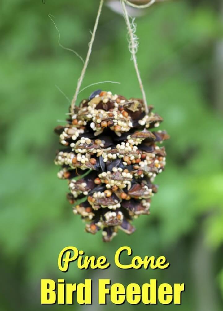 DIY Top Wing Bird Feeder, diy home decor projects, diy home decor crafts, diy home decor pinterest, modern diy home decor, diy home decor ideas living room, diy home decor online, diy hacks home decor, diy ideas for the home, Easy Paper Crafts, Easy Diy Crafts, Diy Paper, Fun Crafts, Decorative Paper Crafts, Amazing Crafts, Craft Projects For Adults, Crafts For Teens To Make, Art Projects, Beauty & Health, Crafts,Decor, DIY Fashion, DIY Ideas And Crafts For Women, DIY Project Ideas For Men Gifts, Ideas By Project Type Kids, Lighting, Mason Jar Ideas, Project Ideas Sewing, Uncategorized, Upcycled And Repurposed Crafts, diy crafts tutorials, diy crafts for home decor, diy crafts youtube, diy crafts to sell, diy crafts with paper, diy crafts for girls, easy diy crafts, diy crafts for kids, diy craft ideas for home decor, craft ideas for adults, craft ideas with paper, craft ideas to sell, craft ideas for the home, craft ideas for children, diy crafts with paper, craft ideas for kids, diy craft, diy craft christmas, diy craft table, halloween diy craft, diy craft for adults, diytomake.com