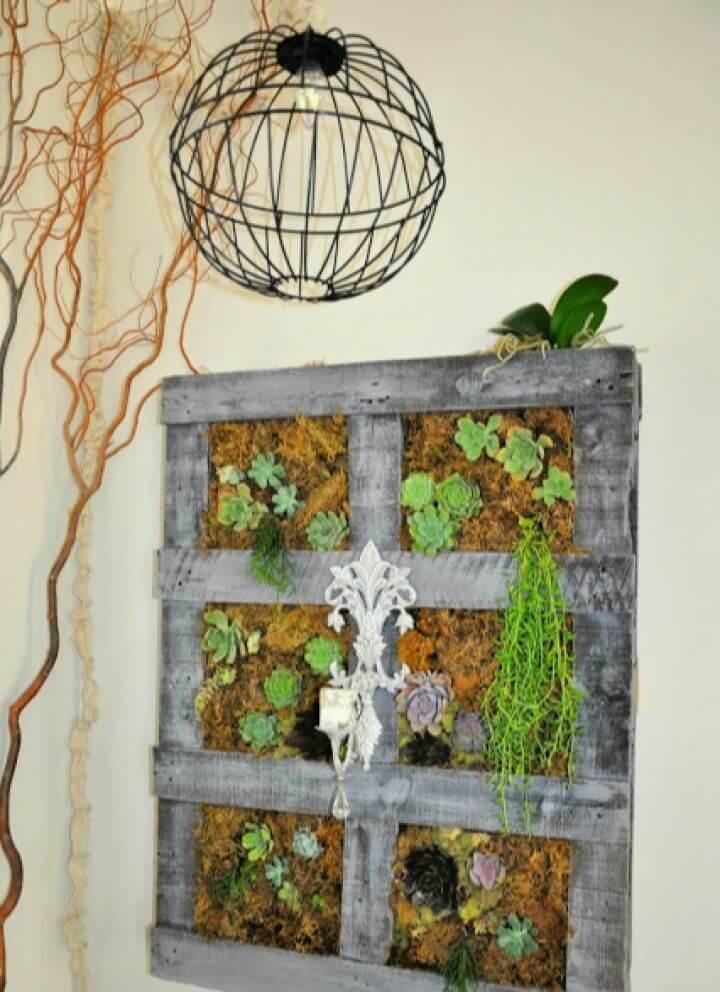 DIY Vertical Wood Pallet Garden Update, amazon return pallet, pallet expander, pallet standard size, pallet project, wood pallet fortnite, recycled pallet, chep pallet, pallet taste, dimensions of a pallet, pallet dimensions, pallet recycling near me, cleft lip and pallet, pallet definition, pallet company near me, pallet company, standard pallet dimensions, spring color pallet, red color pallet, pallet chicken coop, how many square feet in a pallet of sod, pallet wholesale near me, pallet liquidation near me, pallet suppliers, how to take pallet apart, what is a pallet, pallet compost bin, used pallet rack near me, wooden pallet recycling near me, wood pallet recyclers near me, amazon customer return pallet, how to build a free standing pallet wall, how big is a pallet, pallet meaning, roxanne pallet, pallet auction near me, pallet pickup, build a pallet, pallet building, manufacturing pallet, how many bags in a pallet of mulch, how many bags of mulch on a pallet, how many brick in a pallet, paint and pallet, pallet express, northwest pallet, wooden pallet locations fortnite, how much does a pallet weigh, electronics by the pallet, pallet sales near me, pallet fence idea, pallet supply near me, average pallet size, pallet diy couch, pallet of sod weight, how to disassemble pallet, pallet vs skid, palette vs pallet, stain for pallet wood, pallet benches diy, pallet counters, pallet disposal, how many pieces of sod in a pallet, how to use a pallet jack, pallet calculation, pallet consultants, material design color pallet, diy pallet patio furniture, sod pallet coverage, pallet disposal near me, how to build pallet shed, pallet manufacturers near me, american pallet liquidators, what is the size of a standard pallet, pallet service, 70 diy pallet ideas, how much does a pallet of sod cover, amazon customer returns electronics pallet, standard pallet weight, standard weight of a pallet, how many bags of concrete in a pallet, scrap and pallet man, pallet salt lake city, nazareth pallet, diy wood pallet project, how to make a pallet sign, pallet jack repair near me, halloween pallet ideas, pallet parties, pallet party, dominique cosmetics lemonade pallet, height of a pallet, pallet height, michigan pallet, how many square feet does a pallet of sod cover, pallet on the floor, the perfect pallet, art pallet clipart, pallet height standard, square feet in a pallet of sod, what is pallet jack,