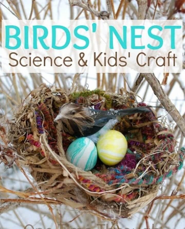 DIY Birds Nest Science Kids Craft, diy kids craft, diy kids crafts, diy kids craft table, diy craft ideas clothes, diy craft ideas crepe paper, diy kid friendly christmas crafts, diy craft ideas dollar tree, diy craft ideas easy, tea party-diy-craft-kids-espresso cups, diy crafts kid friendly, diy craft ideas for home decor, diy craft ideas for adults, diy craft ideas for room decor, diy craft ideas for christmas, diy craft ideas for school, diy craft ideas for christmas gifts, diy craft ideas for gifts, diy craft ideas for birthday gift, diy craft ideas for toddlers, diy craft ideas for birthday parties, diy craft ideas for wall decor, diy craft ideas for diwali, diy craft ideas for father's day, diy craft ideas for halloween, diy craft ideas for valentines, diy craft ideas home decor, diy craft ideas home, diy & crafts ideas magazine, diy craft ideas newspaper, diy craft ideas on pinterest, diy kid crafts pinterest, diy craft ideas pinterest, diy craft ideas pdf, diy craft ideas paper, diy craft ideas pics, diy ideas for craft room, diy craft ideas using ice cream sticks, diy craft ideas videos, diy craft ideas with paper, diy craft ideas with plastic bottles, diy craft ideas with cardboard, diy craft ideas with newspaper, diy craft ideas with glass jars, diy craft ideas with straws, diy craft ideas with buttons, diy craft ideas with cement, diy craft ideas with balloons, diy craft ideas with shells, diy craft ideas youtube, best-diy-crafts-kids-christmas 10, diy children's day crafts, diy crafts ideas easy, diy childrens halloween crafts, diy crafts ideas notebook, diy crafts ideas paper, diy crafts ideas step by step, diy crafts ideas with paper, wonderful-kids-crafts-diy-felt-christmas-tree, diy crafts ideas youtube, diy ideas for craft table, diy waste clothes craft ideas, diytomake.com