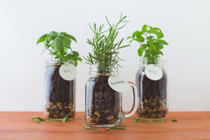 DIY Mason Jar Herb Plant For Home Decor, diy home, diy home decor, diy home decor ideas, diy home projects, diy home decor crafts, diy home automation, diy home pregnancy test, diy home security systems, diy home decor projects, diy home decor ideas living room, diy home center, diy home improvement, diy home bar, diy home gym, diy home theater, diy home kits, diy home renovation, diy home alarm systems, diy home security camera, diy home theater speakers, diy home server, diy home solar system, diy home addition, diy home alarm, diy home audio, diy home automation ideas, diy home air purifier, diy home audio system, diy home air freshener, diy home automation hub, diy home assistant, diy home art, diy home addition cost, diy home automation systems, diy home accessories, diy home arcade, diy home alarm systems uk, diy home air filter, diy home and garden, diy home art projects, diy home building, diy home bar ideas, diy home bar plans, diy home building kits, diy home battery bank, diy home battery backup, diy home business, diy home blog, diy home brewing system, diy home battery, diy home bar cabinet, diy home bowling alley, diy home building plans, diy home brew, diy home brewery, diy home builder, diy home bar designs, diy home book, diy home basketball court, diy home crafts, diy home camera system, diy home cleaners, diy home christmas decor, diy home cinema, diy home construction, diy home charging station, diy home cloud storage, diy home center burbank, diy home compost bin, diy home center locations, diy home center promo code, diy home climbing wall, diy home coffee bar, diy home compost, diy home cleaning solutions, diy home command center, diy home center tujunga ca, diy home cockpit, diy home decoration ideas, diy home design, diy home depot, diy home decor signs, diy home desk, diy home design software, diy home dance floor, diy home diffuser, diy home deodorizer, diy home decor pinterest, diy home decor gifts, diy home decor india, diy home defense, diy home decor blogs, diy home decor trends 2020, diy home decor 2019, diy home elevator, diy home energy, diy home extension, diy home energy audit, diy home entertainment center, diy home elevator plans, diy home electrical, diy home elevator kit, diy home escape room, diy home enema, diy home experiments, diy home energy monitor, diy home entertainment system, diy home electrical projects, diy home entertainment center plans, diy home edit labels, diy home essentials, diy home exfoliating scrub, diy home exercise equipment, diy home energy system, diy home furniture, diy home facial, diy home fragrance, diy home face mask, diy home fix, diy home forge, diy home foundation, diy home fire sprinkler system, diy home furniture ideas, diy home fries, diy homefit, diy home foot soak, diy home floor cleaner, diy home fountain, diy home flooring, diy home first aid kit, diy home furnishings, diy home fireplace, diy home file server, diy home floor plans, diy home gym equipment, diy home garden, diy home giveaway, diy home generator, diy home gym mirror, diy home gym flooring, diy home gifts, diy home golf simulator, diy home greenhouse, diy home games, diy home gym storage, diy home gender test, diy home generator transfer switch, diy home garage, diy home goods, diy home games for adults, diy home gift ideas, diy home garage gym, diytomake.com