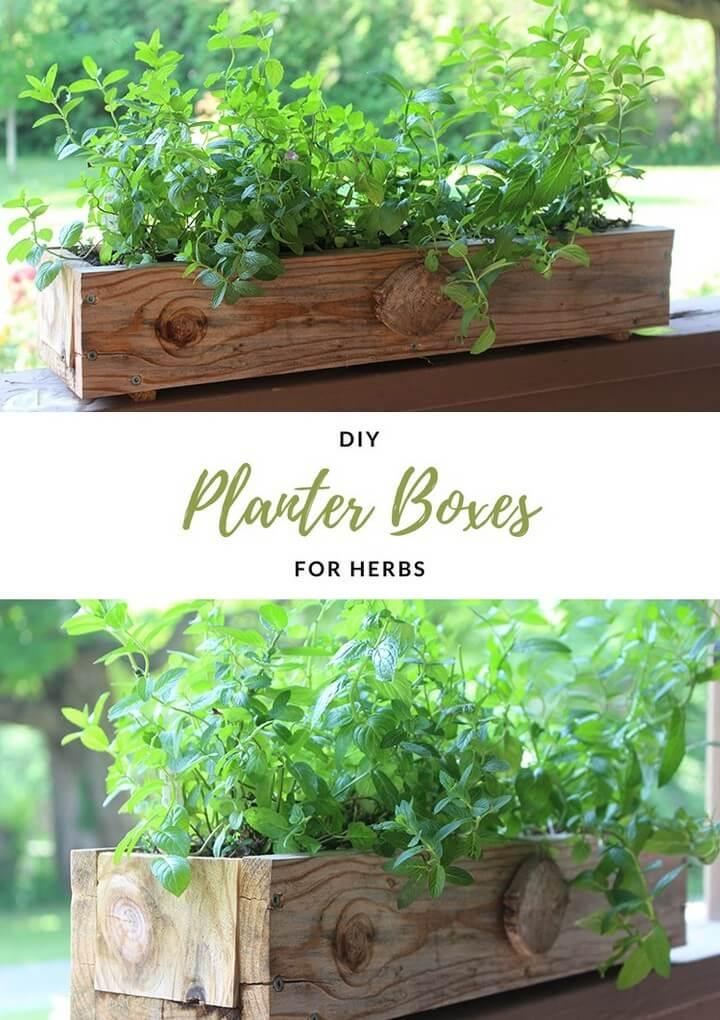 DIY Planter Boxes for Herbs How to make a planter box, diy planter, planter ideas, diy planters, diy planter ideas, diy planter box, diy planter stand, diy planter box plans, diy planter pots, diy planter insert, diy planter box ideas, diy planter bench, diy planter box bunnings, diy planters concrete, diy planter box nz, diy planters wood, diy planter fountain, diy planter hanger, diy planter wall, diy planter box indoor, diy planter bed, diy planter shelf, diy planter indoor, diy planter around post, diy planter around tree, diy planter and candle holder, diy planter and trellis, diy aquarium planter, diy address planter box, diy address planter, diy apartment planter, diy angled planter box, diy animal planter, diy planter box australia, diy planter box and trellis, diy emersed aquarium planter, diy plastic animal planter, diy bench and planter, diy carte a planter, diy planter box pallet, diy planter box kit, diy planter box easy, diy planter basket, diy planter box bench, diy planter bag, diy planter box concrete, diy planter box cheap, diy planter box balcony, diy planter bench plans, diy planter box liner, diy planter box window, diy planter cover, diy planter concrete, diy planter coffee table, diy planter cement, diy planter containers, diy planter caddy, diy planter clay, diy planter & candle holder, diy planter centerpiece, diy planter chair, diy planter cart, diy planter crafts, diy planter christmas, diy cedar planter box, diy concrete planter box, diy concrete planter with drainage, diy ceramic planter, diy cedar planter, diy concrete planter molds, diy corn planter, diy planter designs, diy planter decor, diy planter drip tray, diy planter drainage, diy planter decking, diy dinosaur planter, diy deck planter box, diy driftwood planter, diy deck planter box plans, diy dino planter, build planter decking, diy planter box designs, diy planter box drainage, diy decorative pots, build deck planter box, diy upside down planter, diy planter box for deck railing, diy planter box home depot, diy 55 gallon drum planter, diy planter easy, diy planter edging, diy elevated planter box, diy easy planter box, diy elevated planter, diy evergreen planter, diy elevated planter box plans, diy elephant planter, diy eggling planter, diy elevated planter bed, diy easy planter stand, diy eco planter, diy electric planter drive, diy hanging planter easy, build elevated planter box, build easy planter box, build elevated planter, diy empty pots, diy west elm planter, easy diy elevated planter box, diy planter from pallet, diy planter feet, diy planter for bamboo, diy planter feet for pots, diy planter for succulents, diy planter fire pit, diy planter filler, diy planter from decking, diy planter for balcony, diy planter from garbage can, diy planter for herbs, diy planter for strawberries, diy fabric planter, diy face planter, diy flower planter box, diy fiberglass planter, diy floating planter, diy flower planter, diy fence planter, diy planter garden, diy planter gift, diy planter greenhouse, diy planter gift ideas, diy garden planter box, diy galvanized planter, diy gabion planter, diy geometric planter, diy garden planter ideas, diy galvanized planter box, diy garlic planter, diy groot planter, diy gutter planter, diy glass planter, diy garden planter plans, diy guitar planter, diy giant planter, diy gold planter, diy garden planter and bird bath, diy garden planter bench, diy planter hanging, diy planter holder, diy planter house number, diy planter heads, diy herb planter, diy herb planter box, diy hanging planter box, diy hanging planter rope, diy hanging planter stand, diy hanging planter macrame, diy hanging planter outdoor, diy hexagon planter, diy hydroponic planter, diy hanging planter ideas, diy hanging planter bags, diy holiday planter, diy herb planter indoor, diy hanging planter kit, diy herb planter ideas, diy planter ideas pinterest, diy planter irrigation, diy planter ideas with wood, diy indoor planter box, diy indoor planter ideas, diy indoor planter stand, diy indoor planter box ideas, diy ikea planter, diy wall planter ideas, diy succulent planter ideas, diy wall planter indoor, diy christmas planter ideas, diy outdoor planter ideas, diy large planter ideas, diy jute planter, diy jab planter, diy jeans planter, diy jellyfish planter, diy jute planter bag, diy planter milk jug, diy jiffy pots, build jd planter, diy mason jar planter, diy mason jar planter box, diy hanging mason jar planter, diy planter kit, diy kitchen planter, diy cat planter, diy planter box kits, diy succulent planter kit, diy herb planter kitchen, diy planter liner, diy planter litter box, diy planter ladder, diy planter large, diy planter light post, diy planter light pole, diy planter legs, diy plant labels, diy planter lights, diy planter lining, diy planter letters, diy large planter boxes, diy long planter box, diy letter planter box, diy log planter, diy levitating planter, diy long planter, diytomake.com 